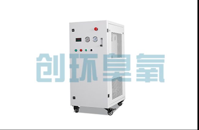 丰都工厂化养鲈必看:2026年臭氧发生器替代传统消毒的最新方案