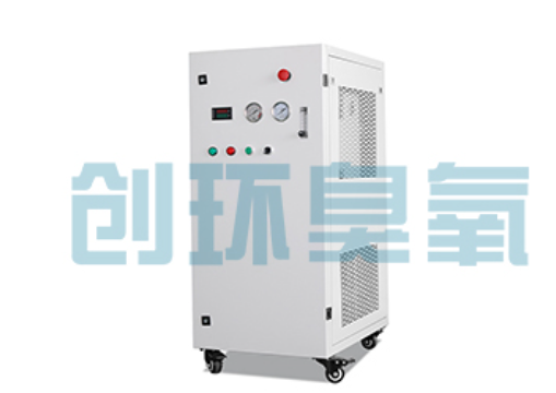 丰都石斑鱼养殖水质调控完整指南:臭氧发生器配置与操作步骤