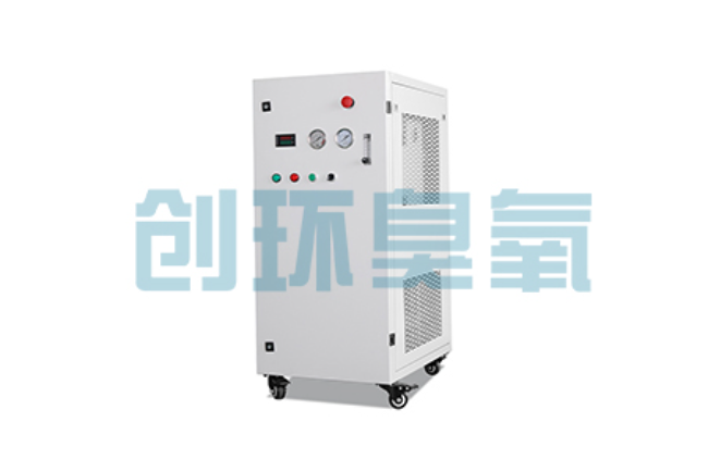 丰都比传统换水更高效?臭氧发生器在石斑鱼养殖中的水质净化原理解析
