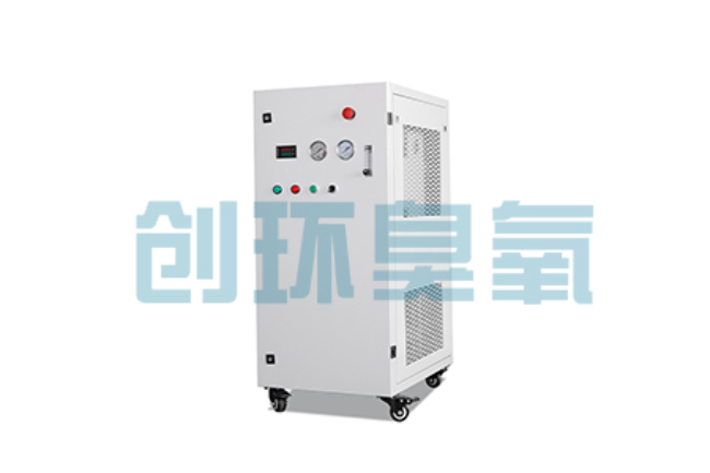 丰都比传统换水更高效?臭氧发生器在石斑鱼养殖中的水质净化原理解析